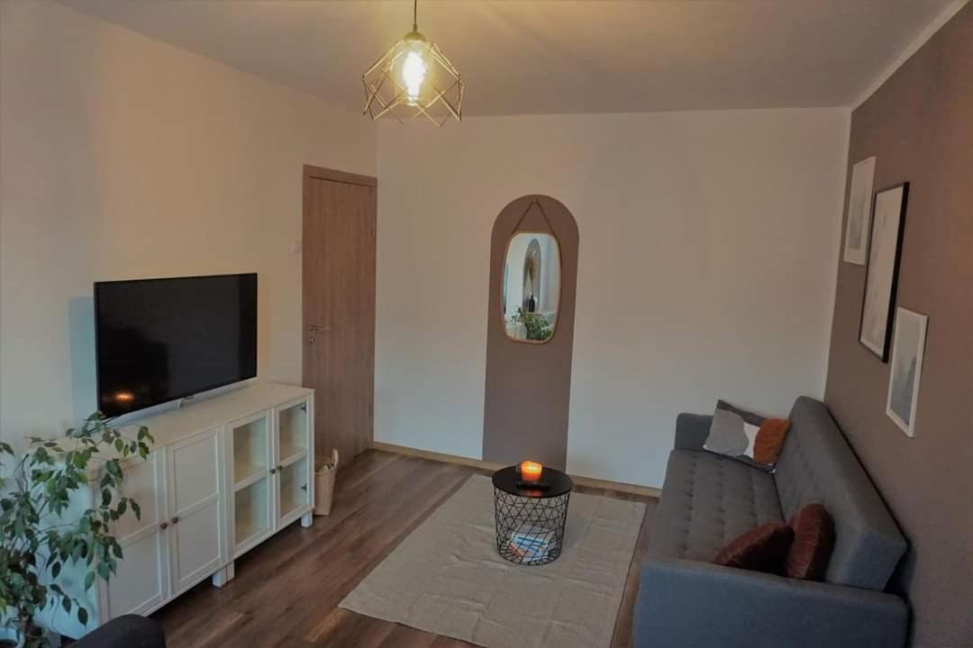 Cozy Apart Toplita Extérieur photo