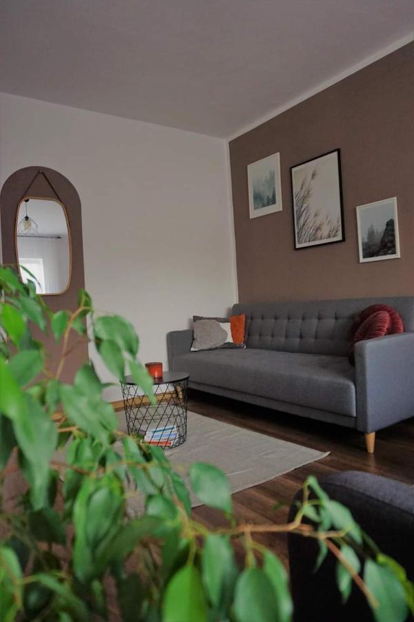 Cozy Apart Toplita Extérieur photo