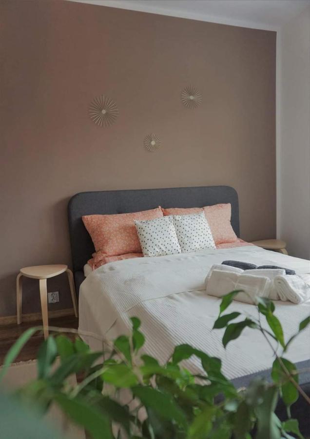 Cozy Apart Toplita Extérieur photo